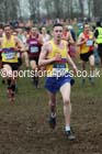 Senior mens Inter Counties Cross Country, Prestwold Hall, Loughborough. Photo: David T. Hewitson/Sports for All Pics